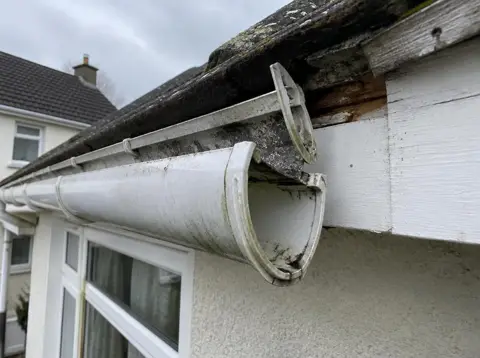 Damaged guttering on an Irish home before repair by Vantage Roof Repairs