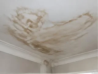 Water stain on a ceiling from a roof leak