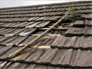 Storm-damaged roof tiles with a fallen branch